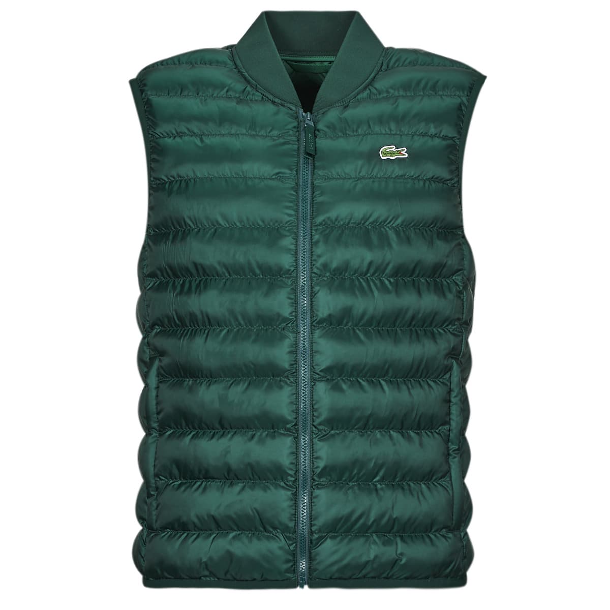 Men's Jackets Lacoste Green