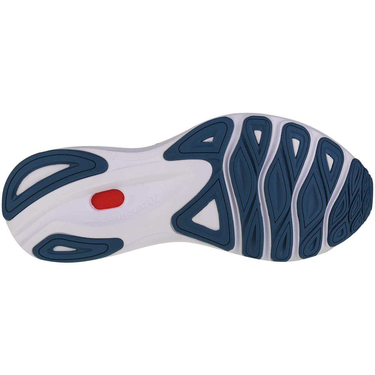 Men's Running Shoes Mizuno Blue