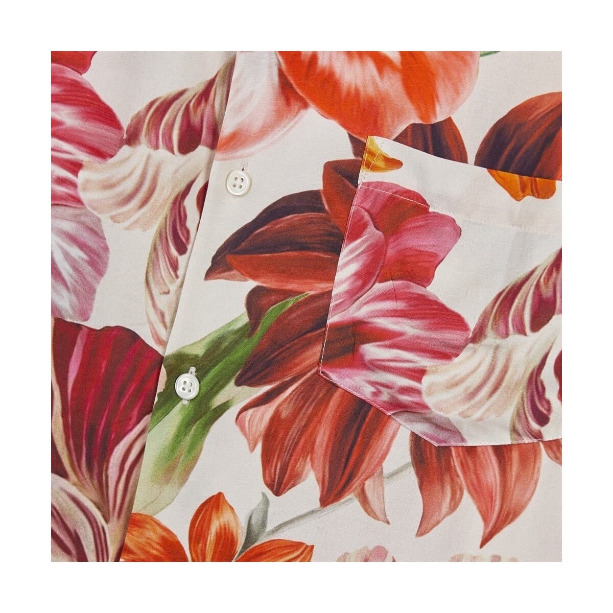 Men's Shirts Portuguese Flannel Multicolor