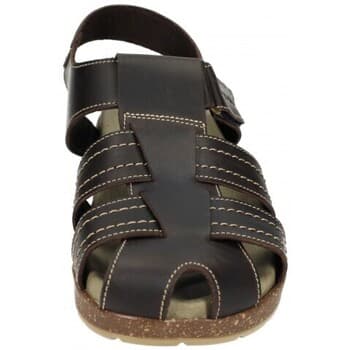 Women's Platforms Interbios Brown