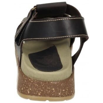 Women's Platforms Interbios Brown