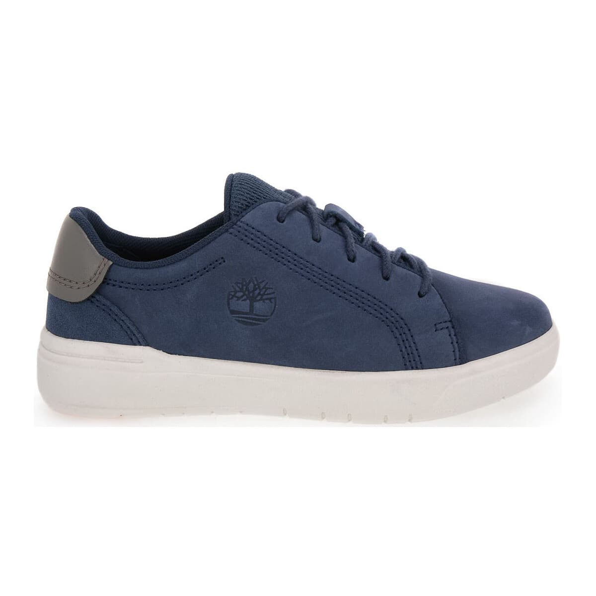 Boys' Sneakers Timberland Blue