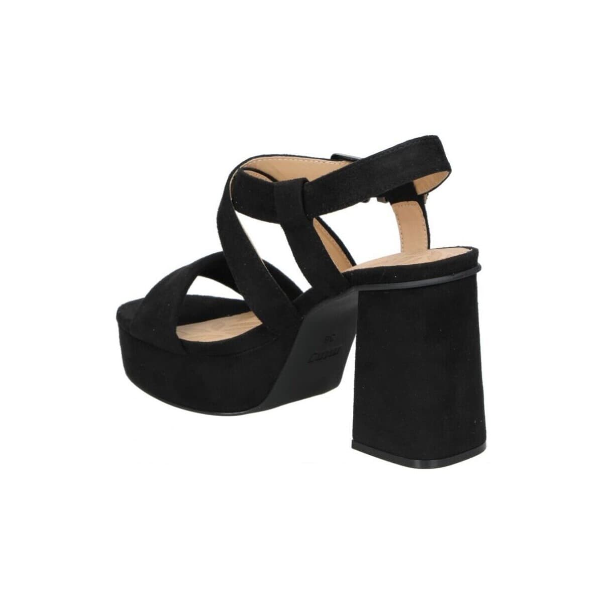 Women's Pumps MTNG Black