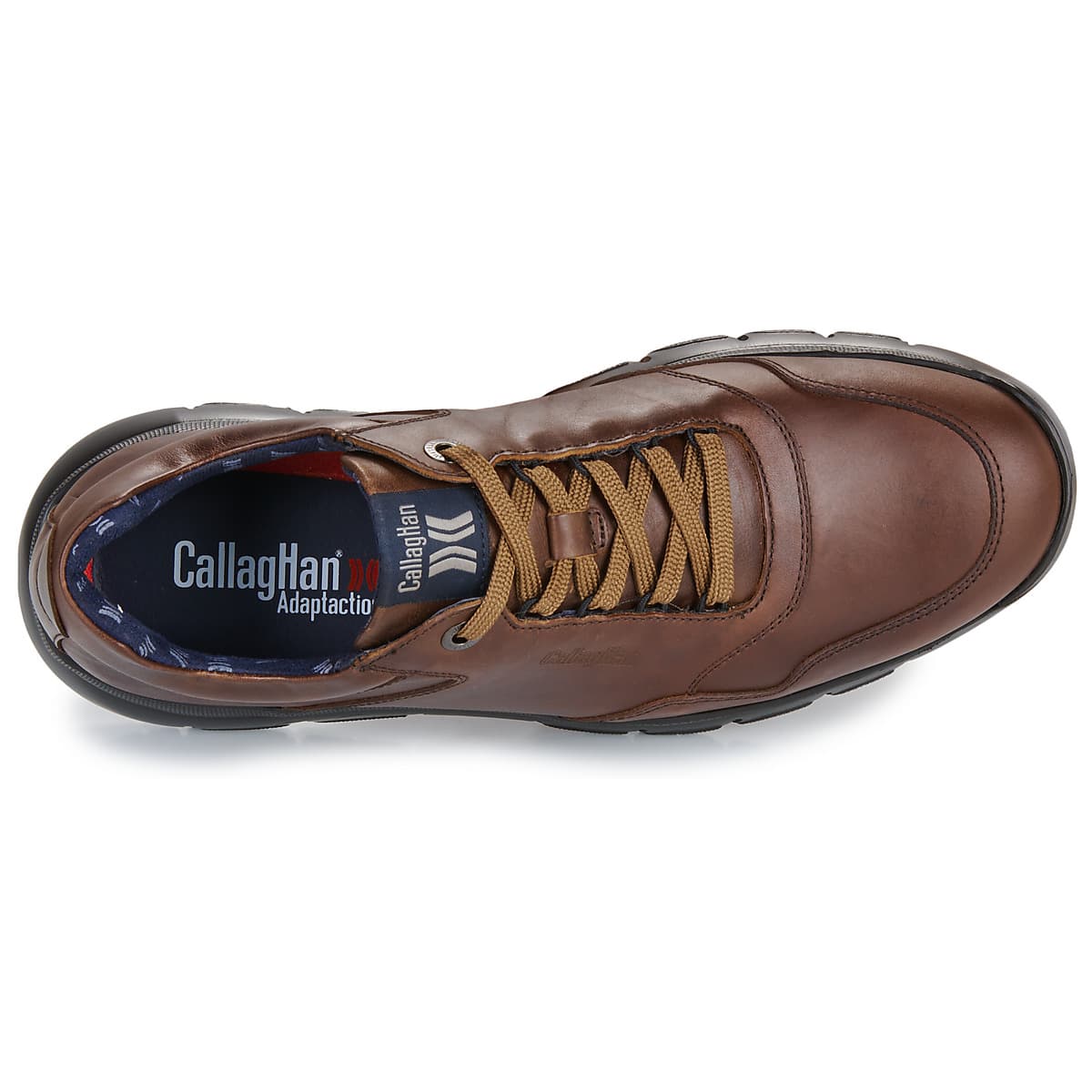 Men's Derby Shoes CallagHan Brown