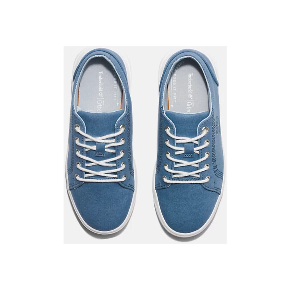 Boys' Sneakers Timberland Blue