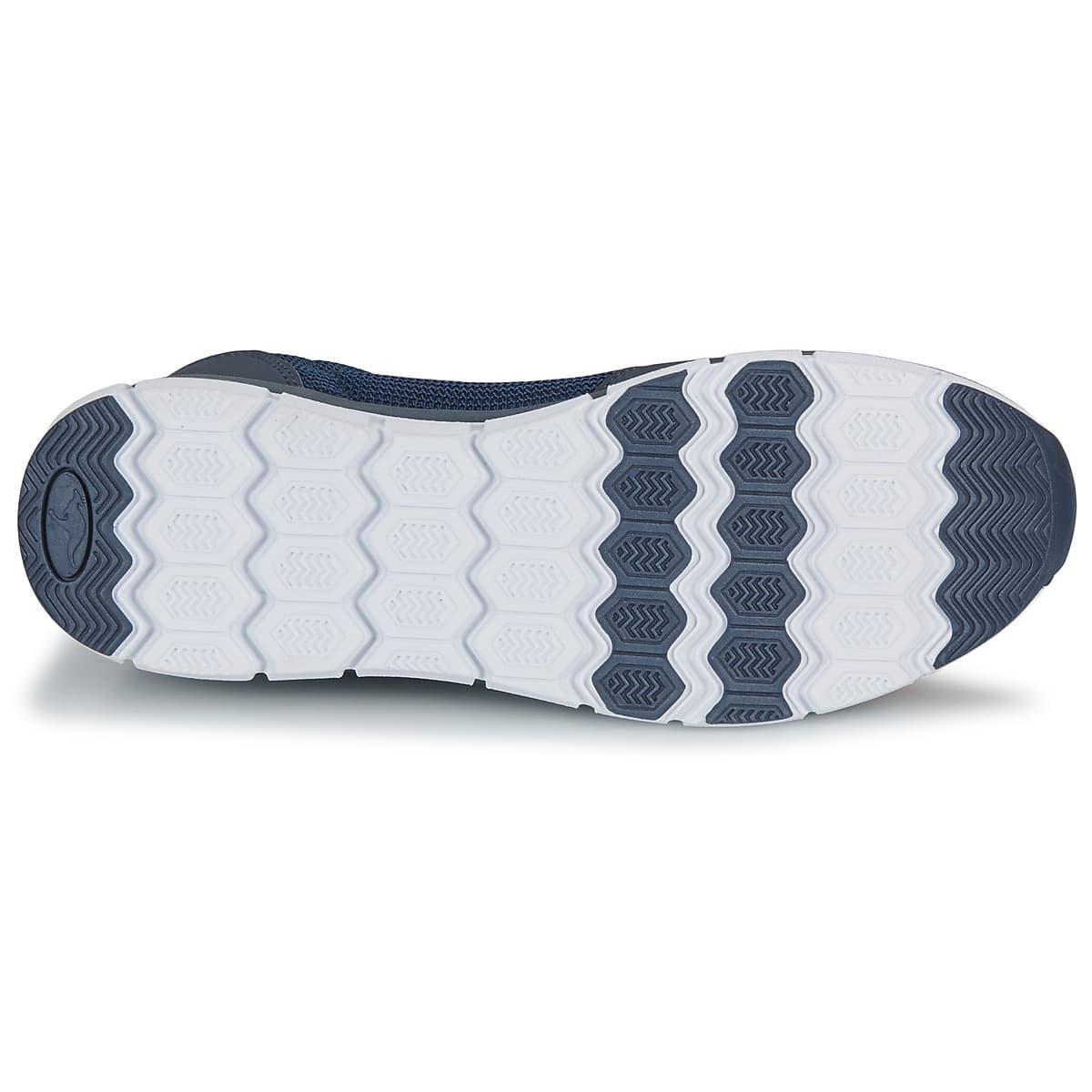 Women's Running Shoes Kangaroos Blue