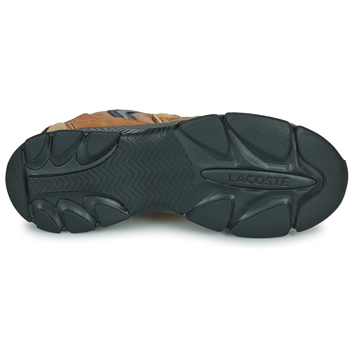 Men's Sneakers Lacoste Brown