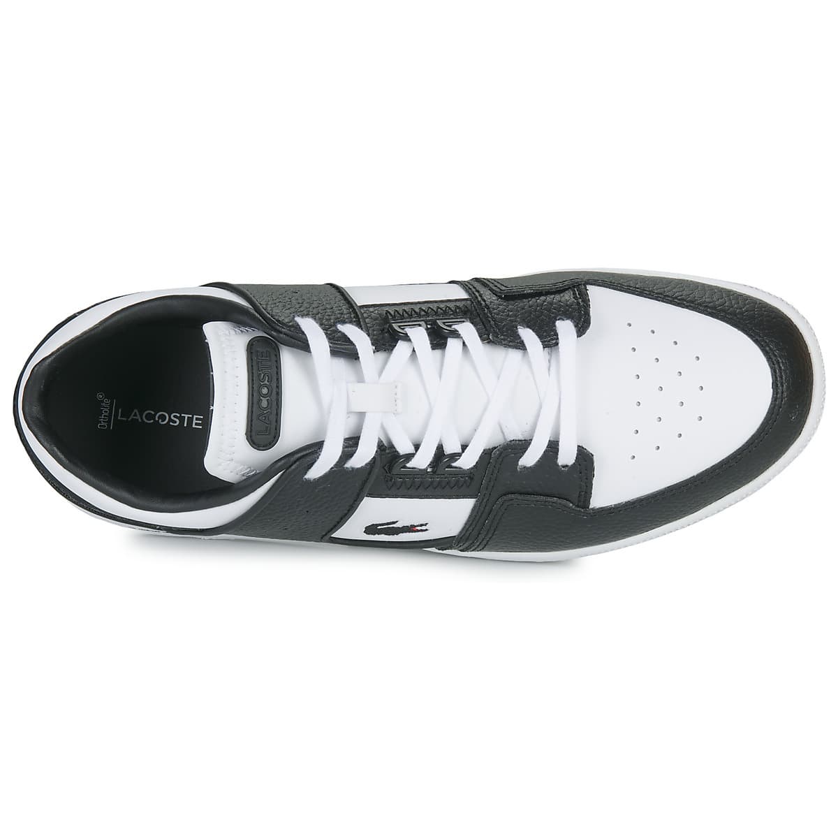 Men's Sneakers Lacoste White