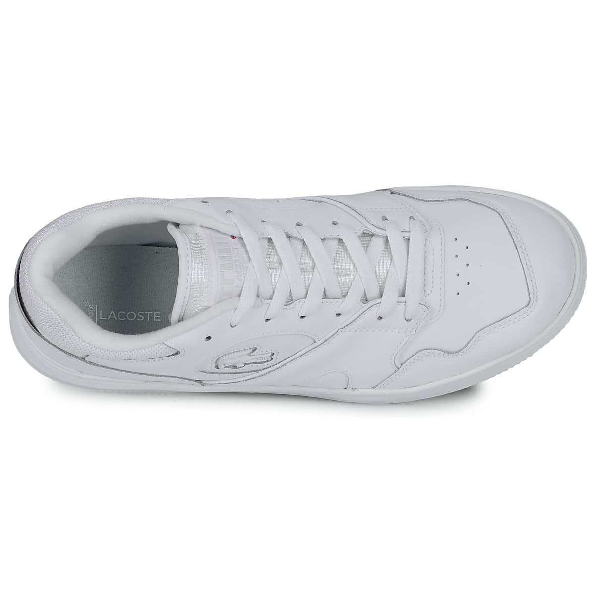Women's Sneakers Lacoste White