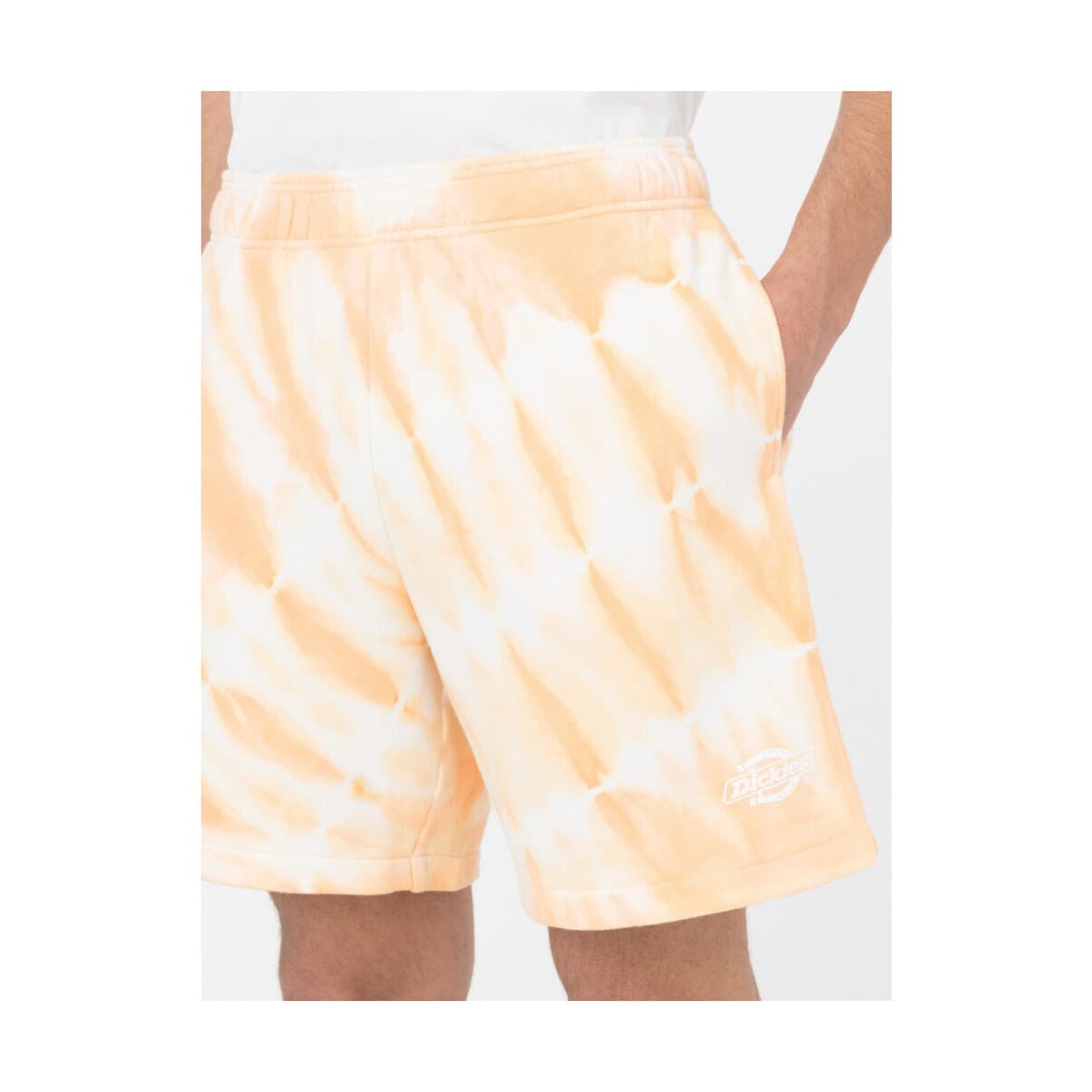 Men's Shorts Dickies Pink