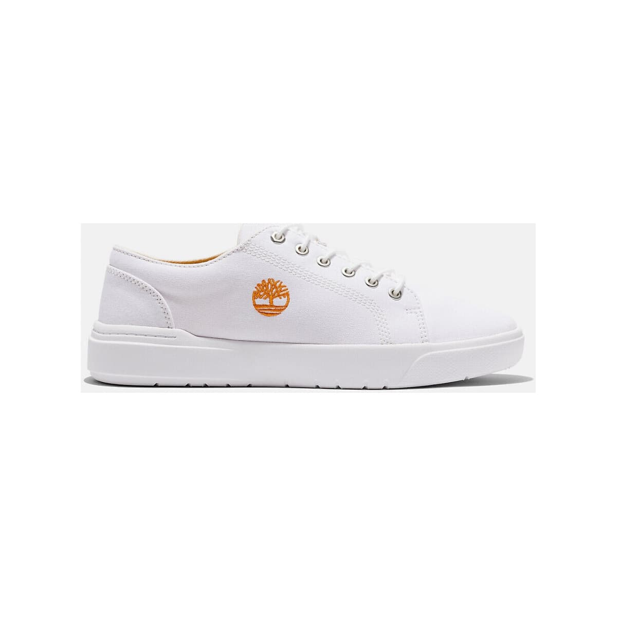 Men's Sneakers Timberland White