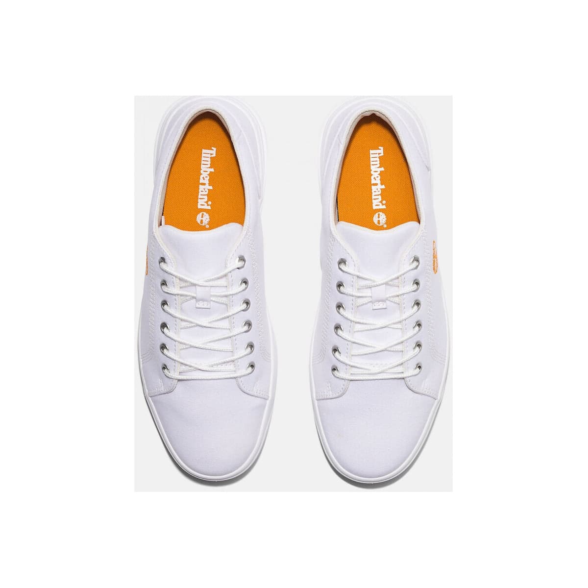 Men's Sneakers Timberland White