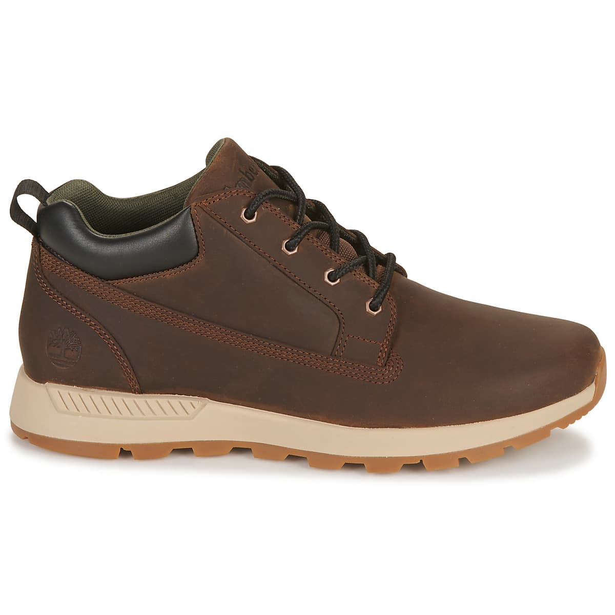 Men's Sneakers Timberland Brown
