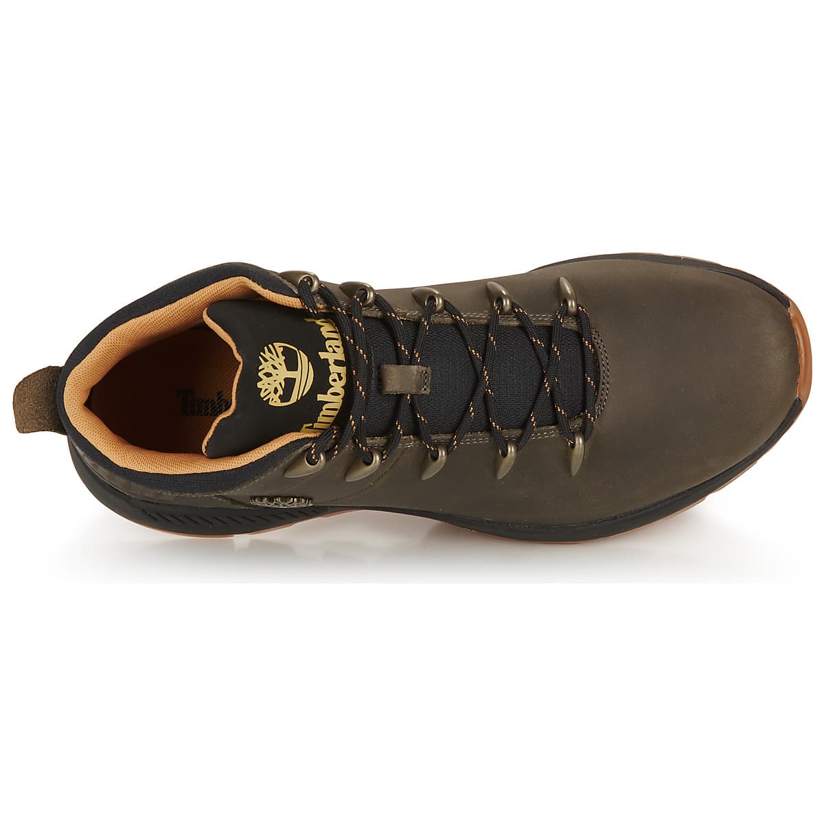 Men's Sneakers Timberland Brown