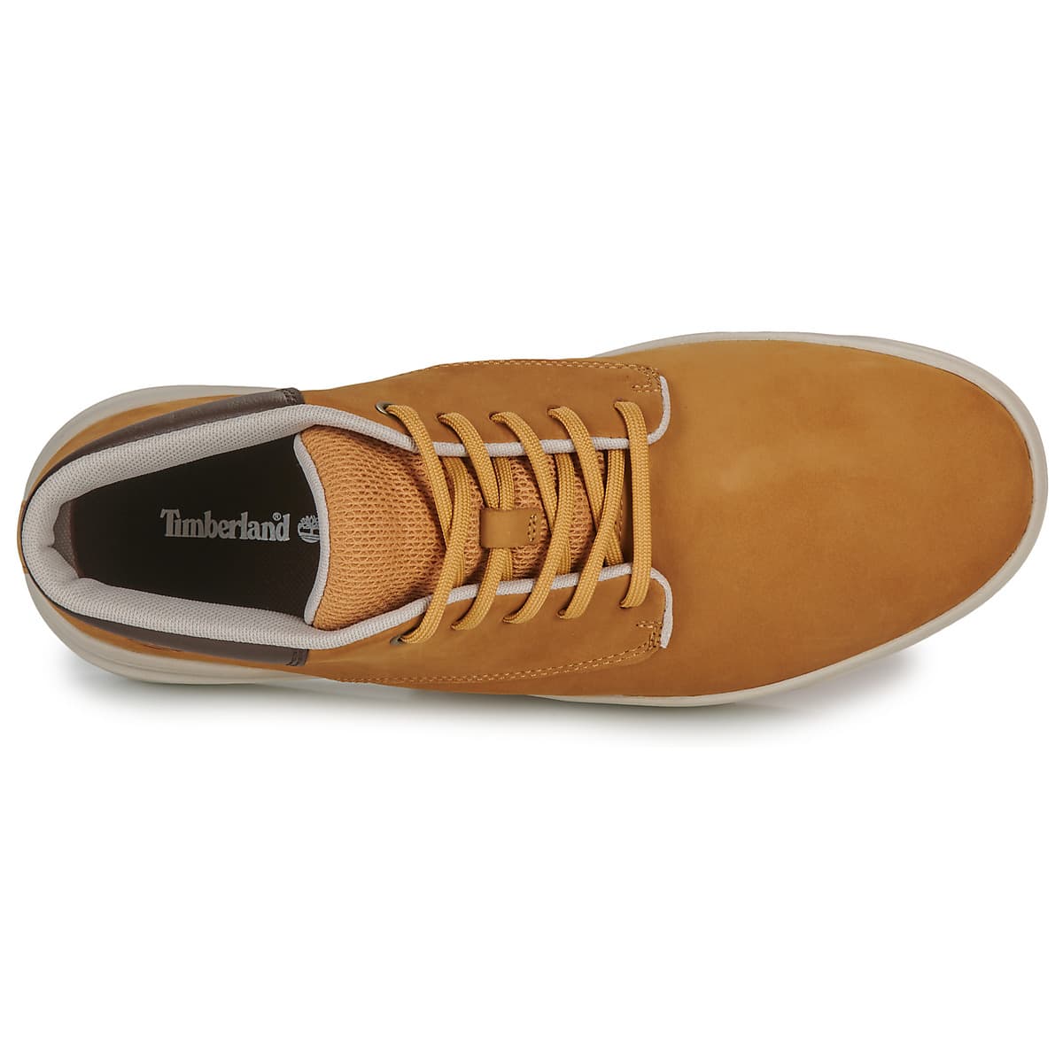 Men's Sneakers Timberland Brown