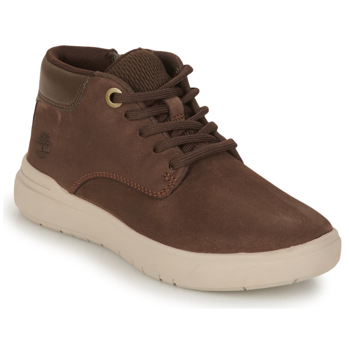 Boys' Sneakers Timberland Brown