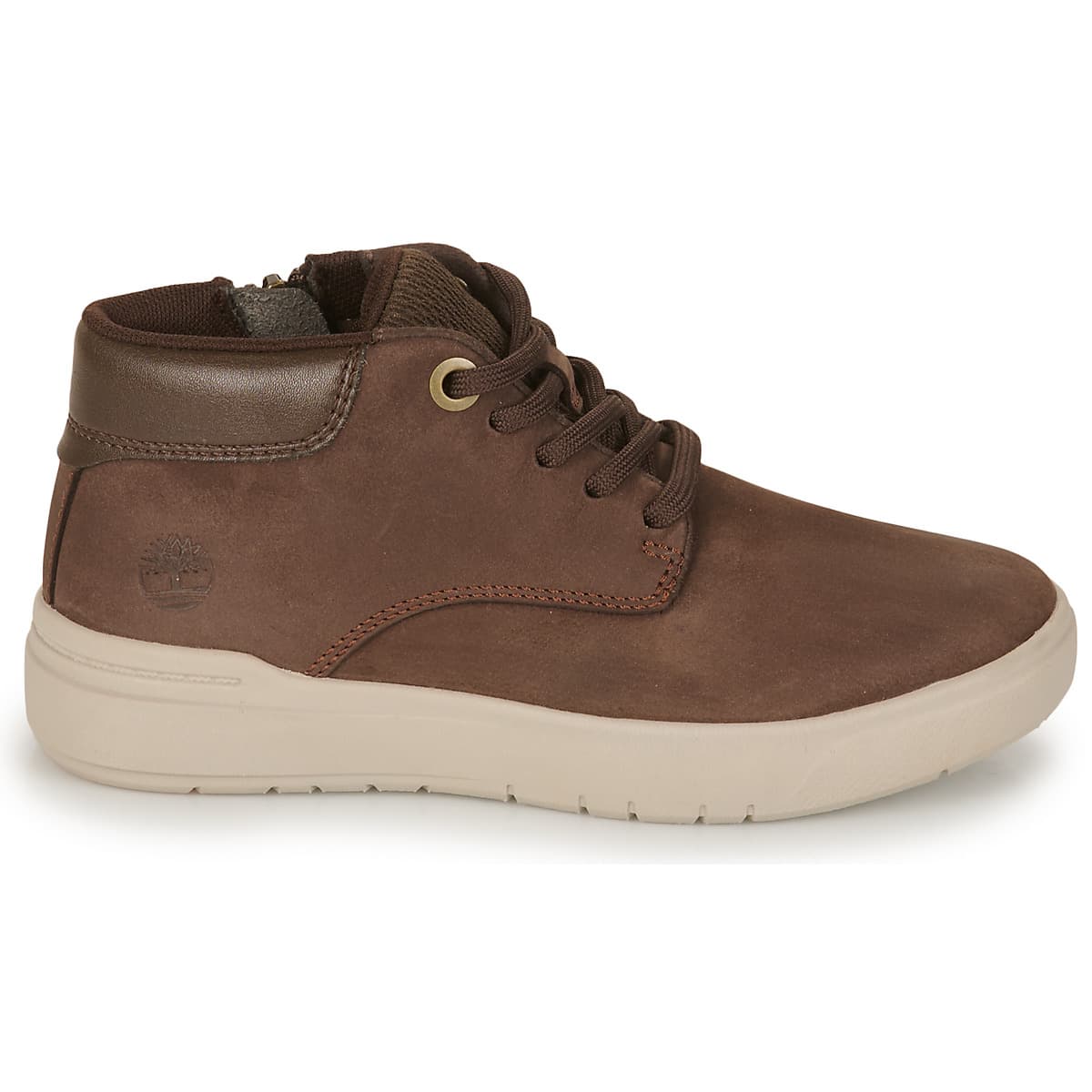Boys' Sneakers Timberland Brown