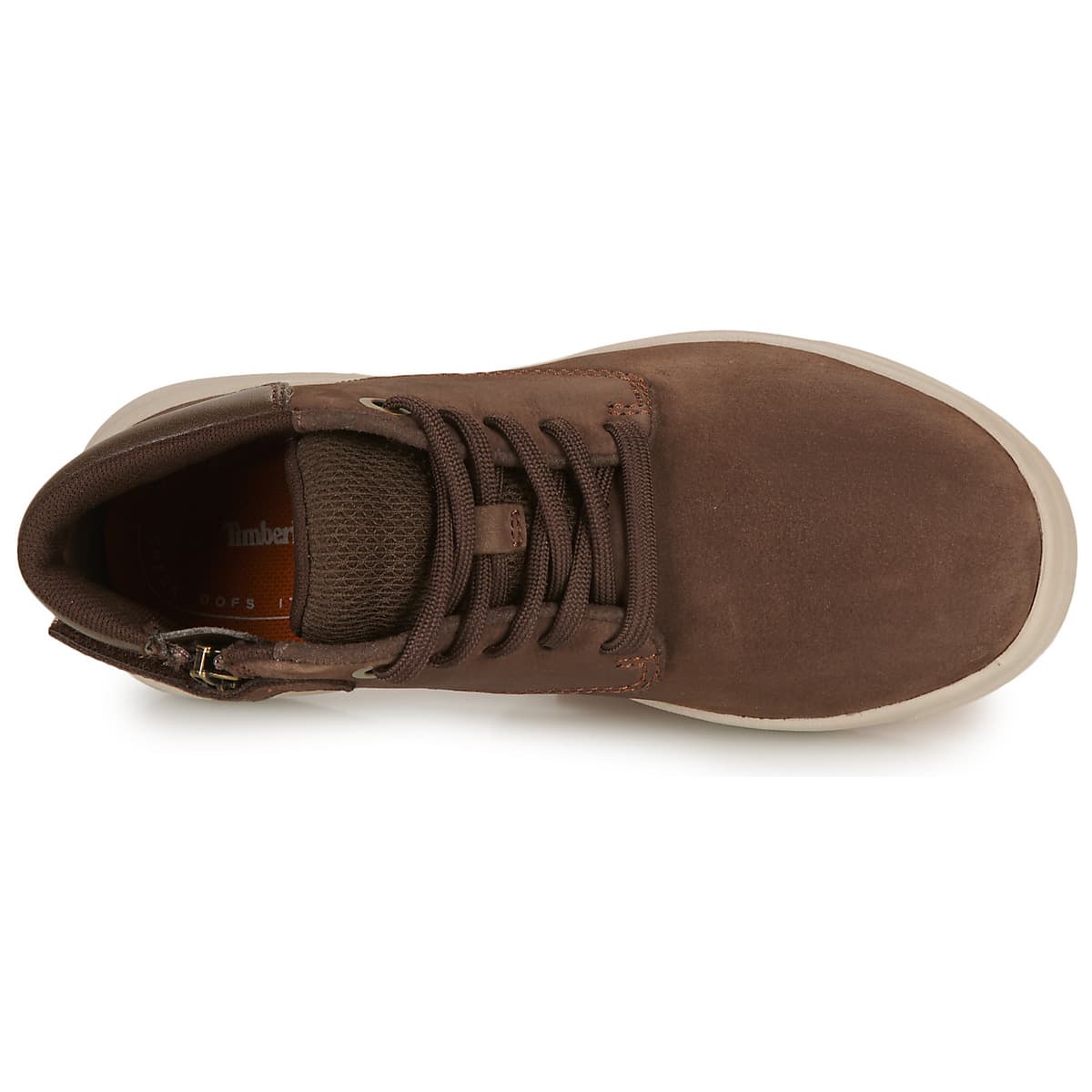 Boys' Sneakers Timberland Brown