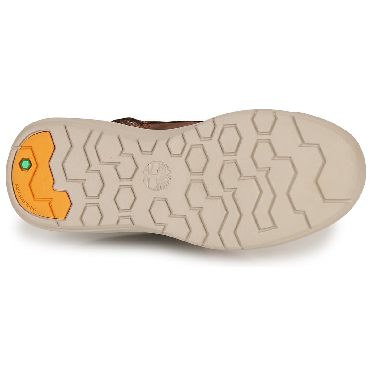 Boys' Sneakers Timberland Brown