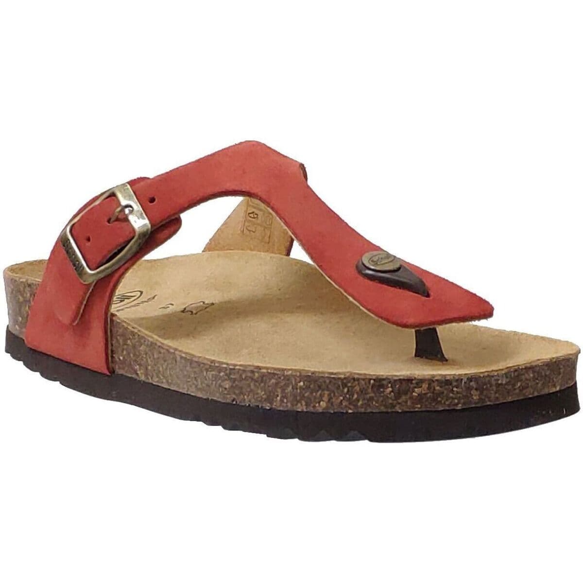 Women's Flip Flops Scholl Brown