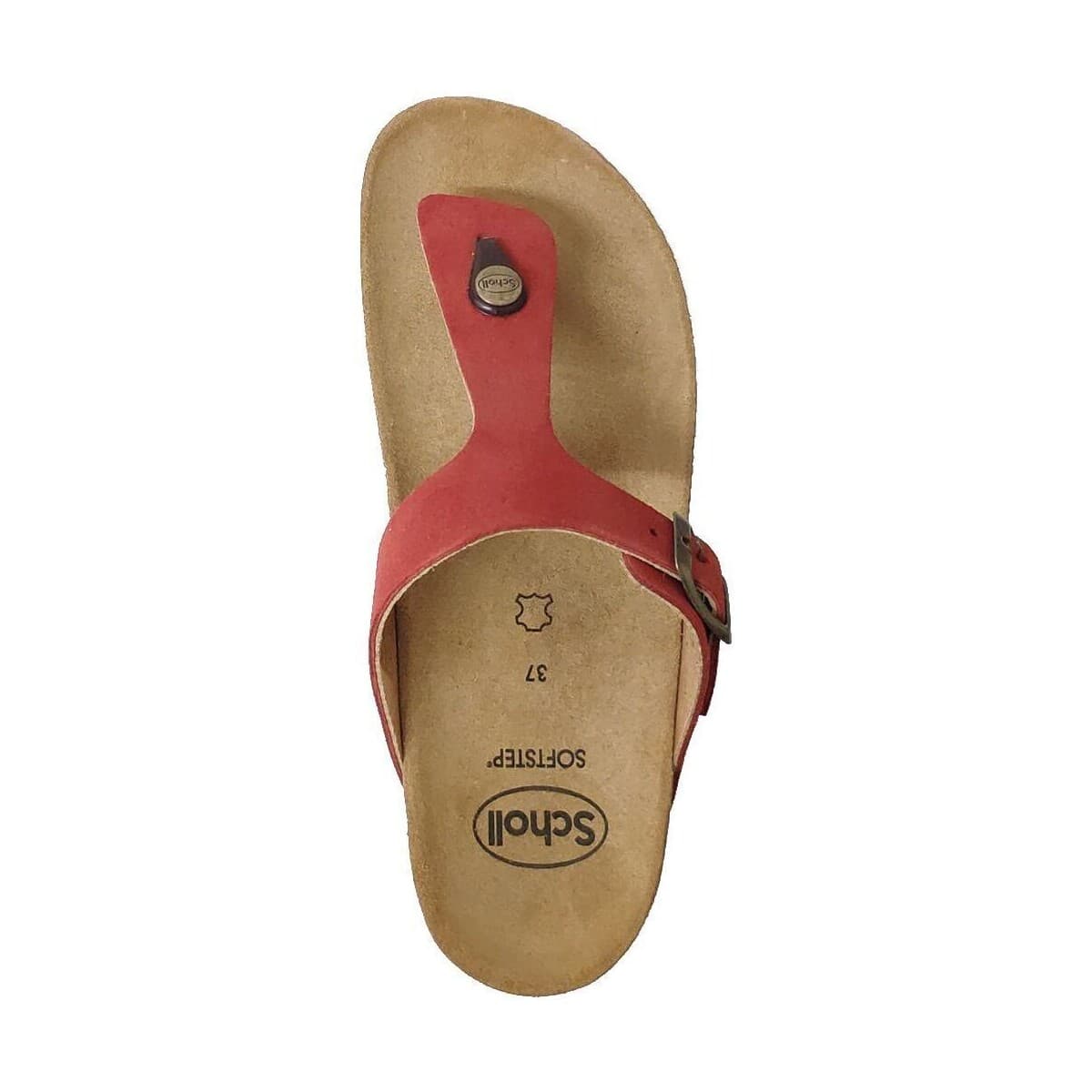 Women's Flip Flops Scholl Brown