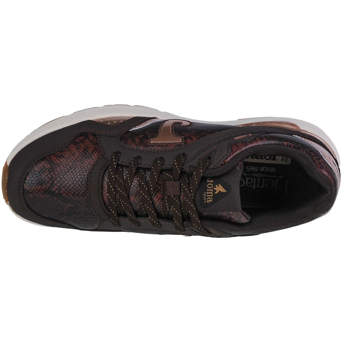 Women's Sports Shoes Joma Brown