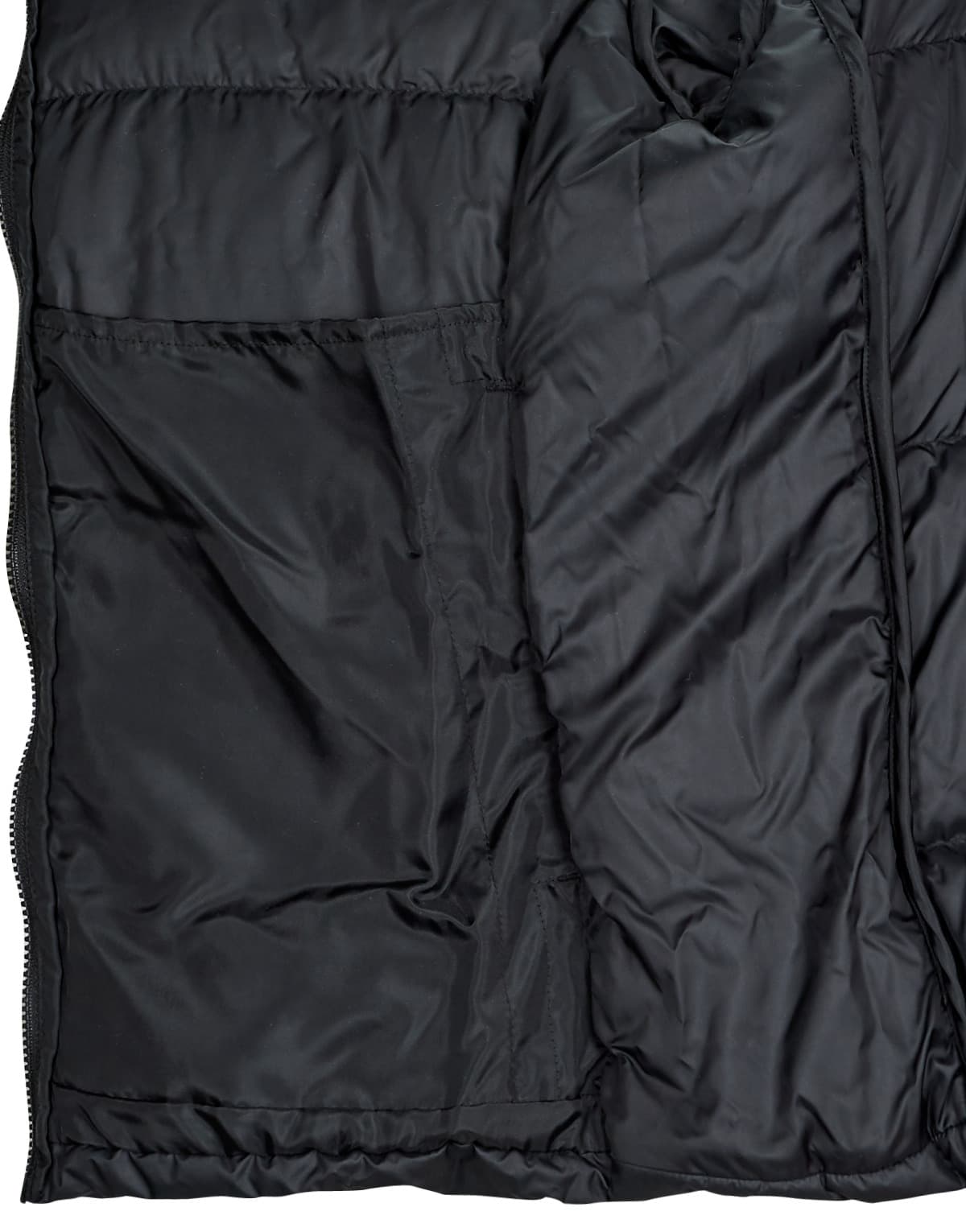 Women's Jackets adidas Black