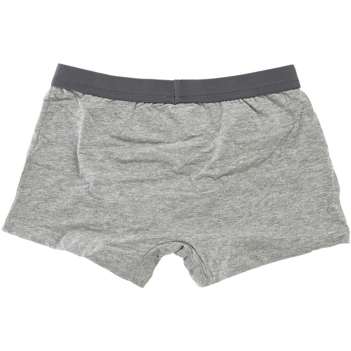 Men's Boxer Briefs Le Petit Garçon Gray