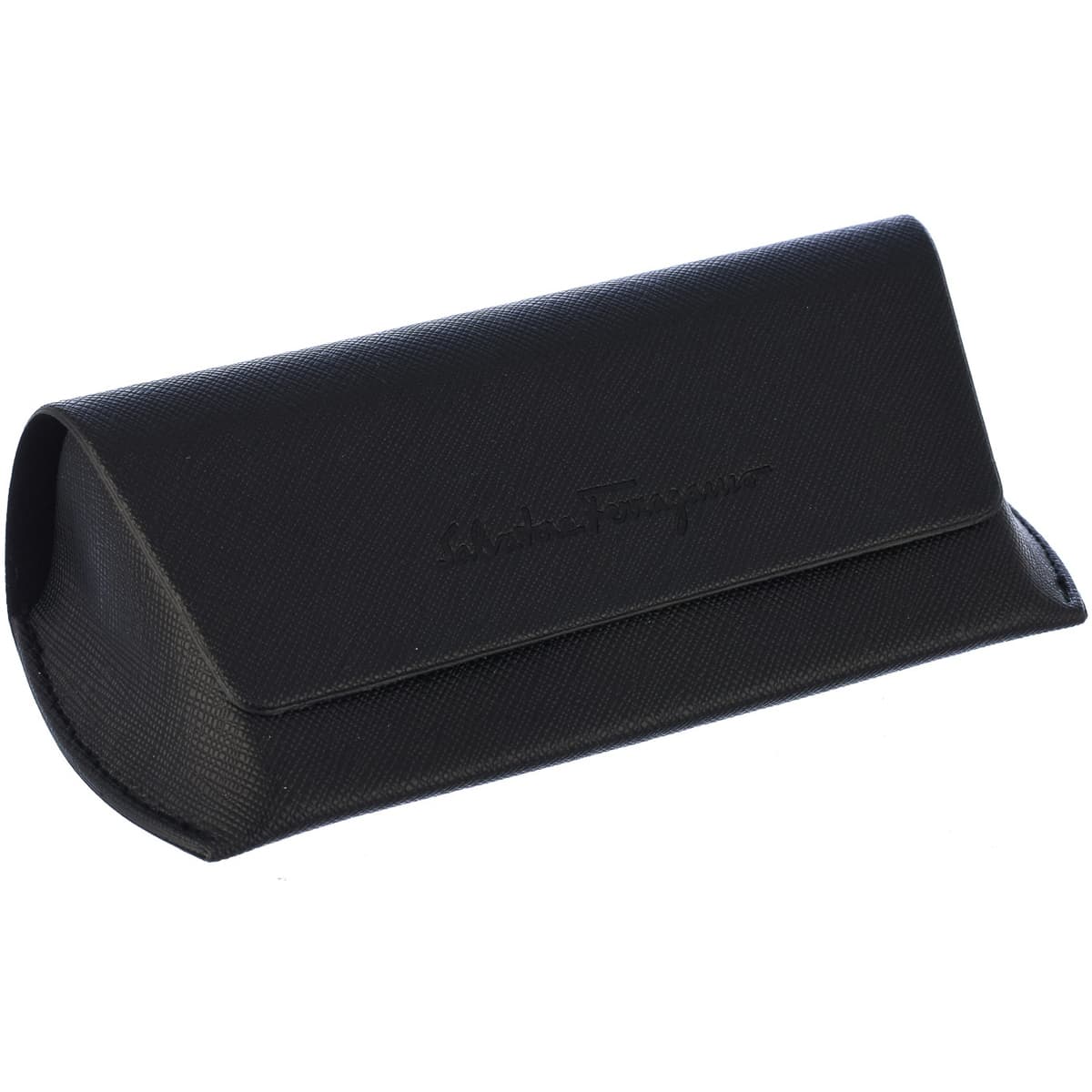 Women's Sunglasses Salvatore Ferragamo Brown