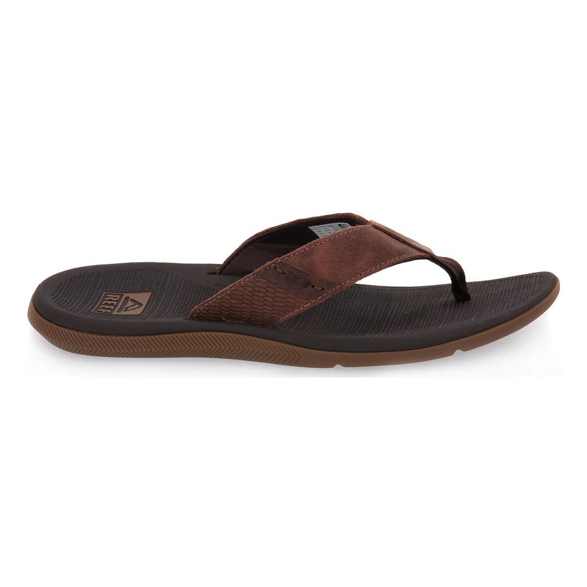 Men's Mules Reef Brown
