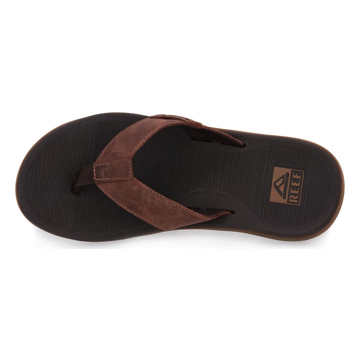 Men's Mules Reef Brown