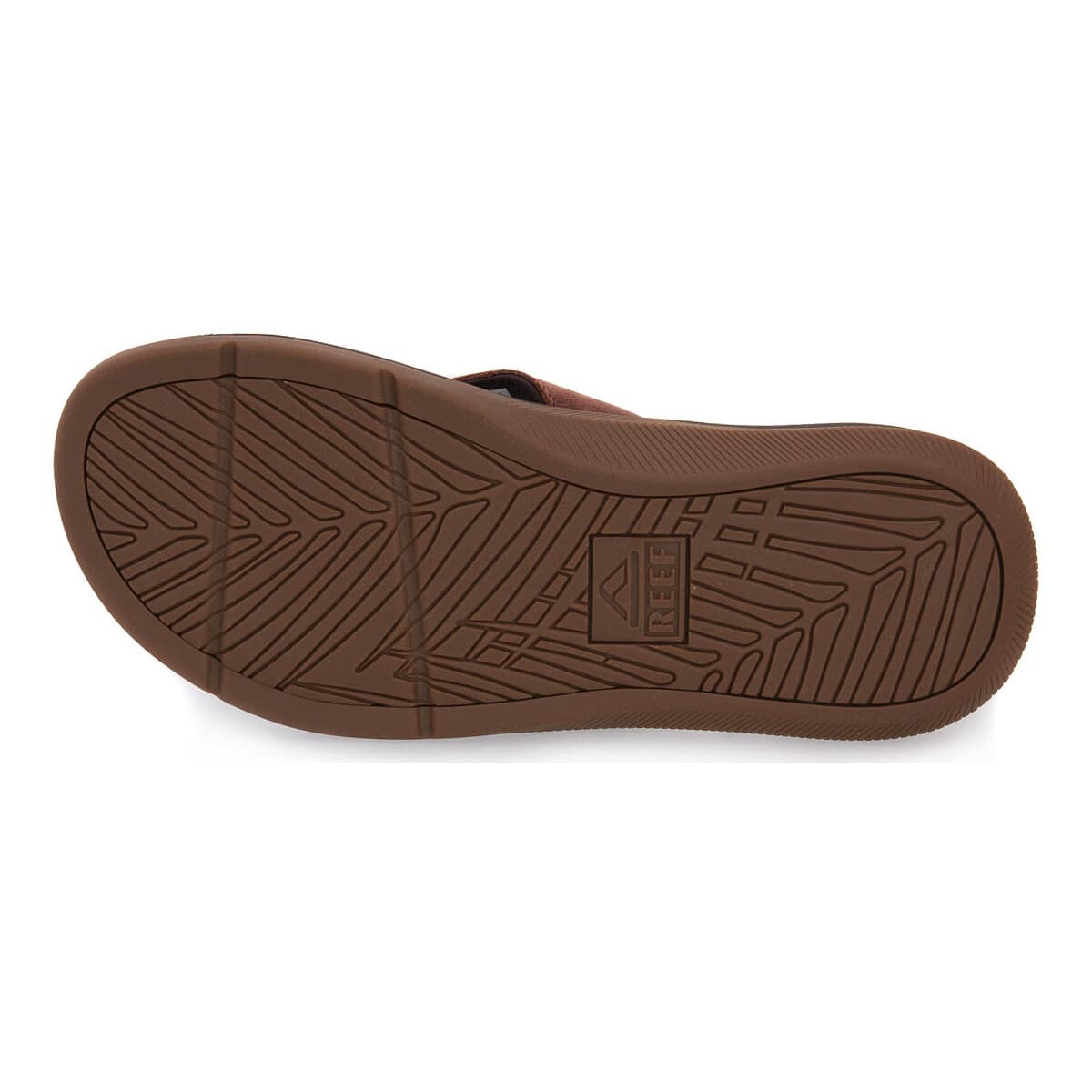 Men's Mules Reef Brown
