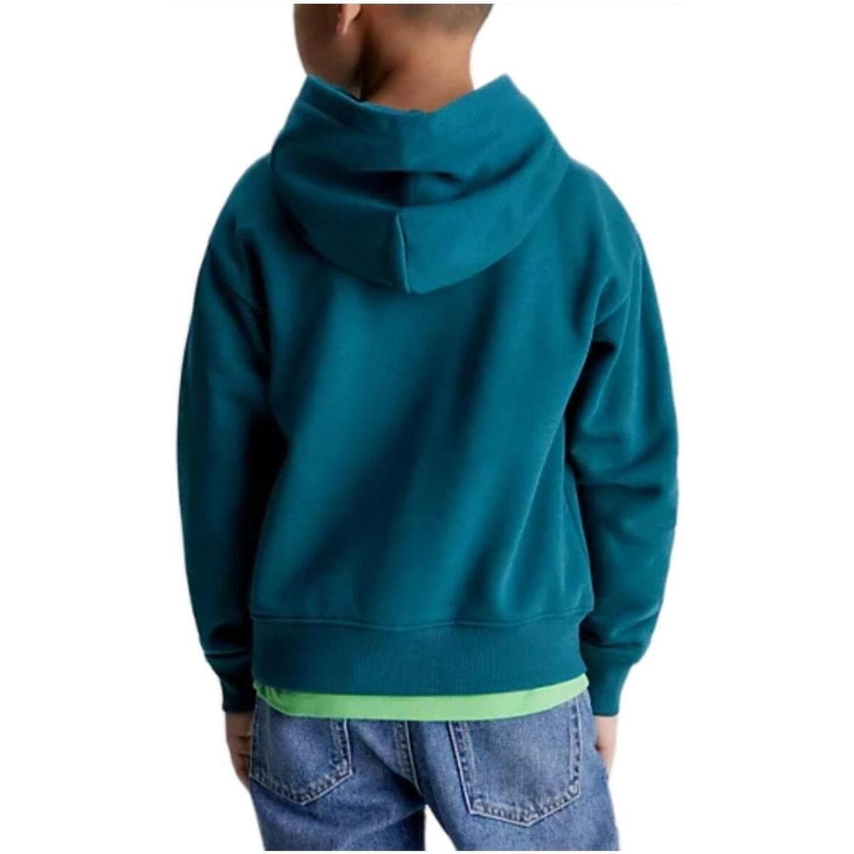 Boys' Hoodies & Sweatshirts Calvin Klein Green