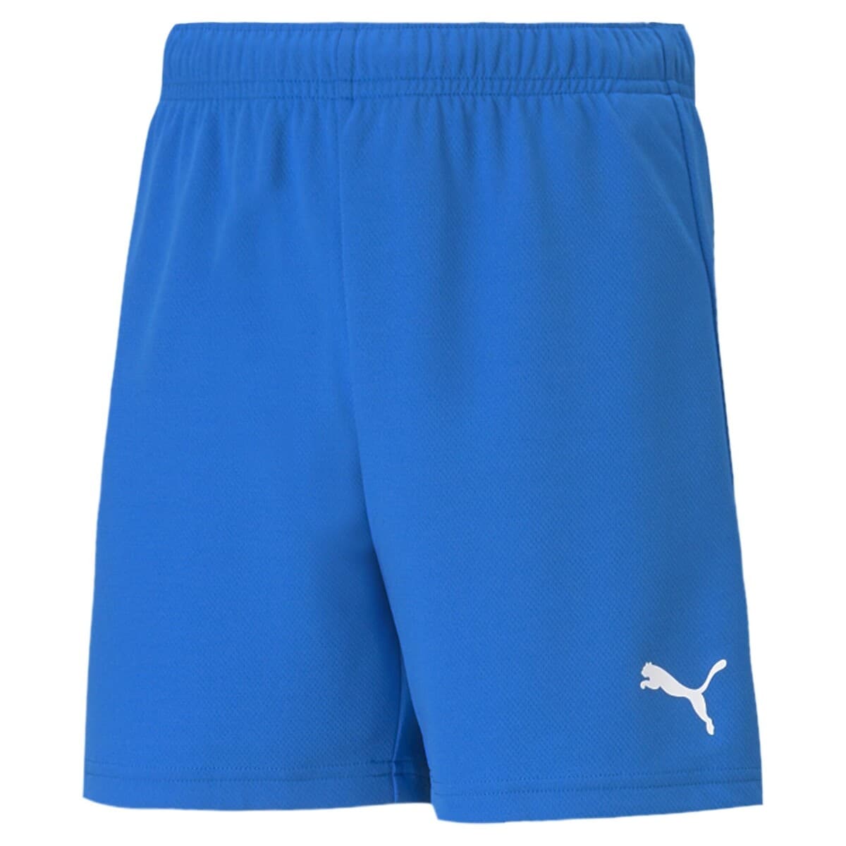 Shorts & Βερμούδες Puma TEAMRISE SHORT