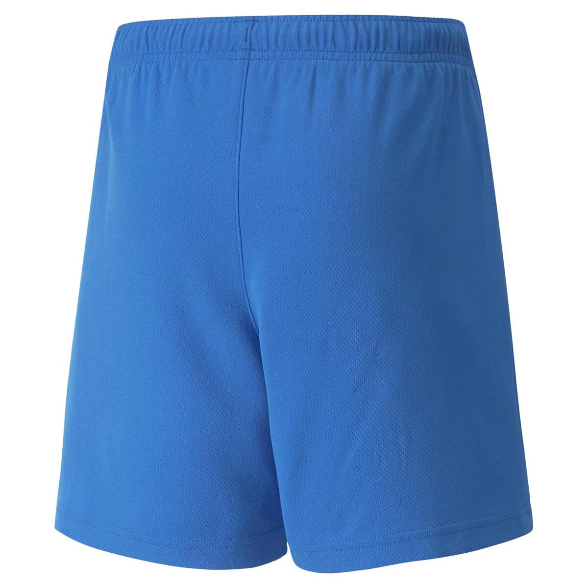 Boys' Shorts Puma Blue