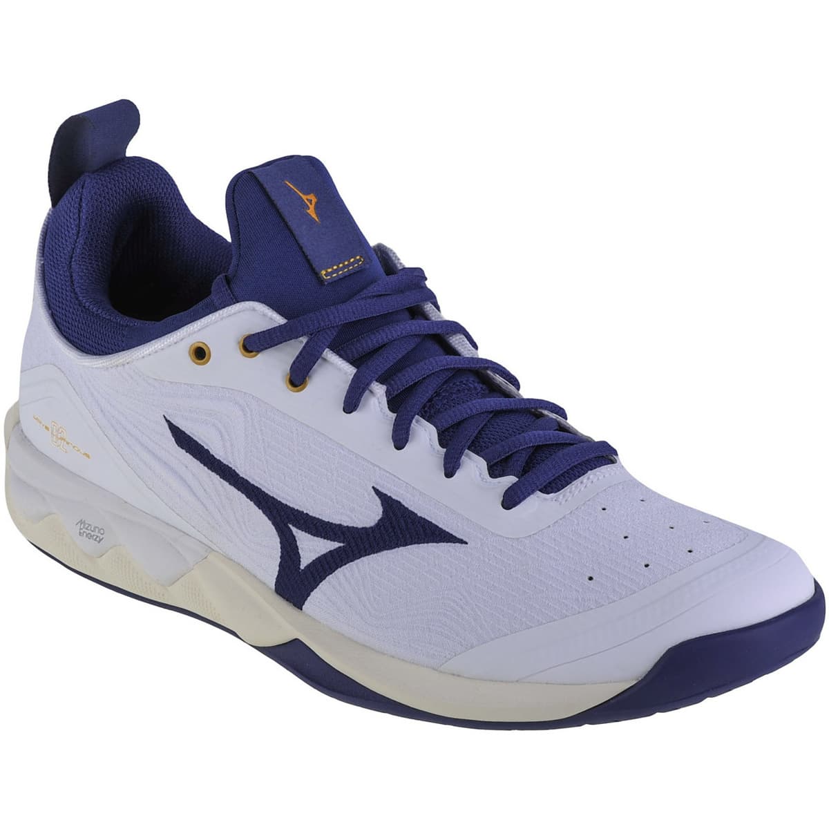 Fitness Mizuno Wave Luminous 2