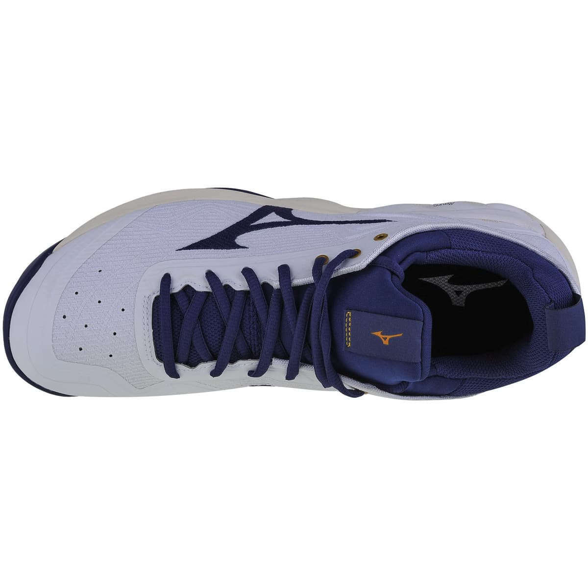 Men's Gym Shoes Mizuno White