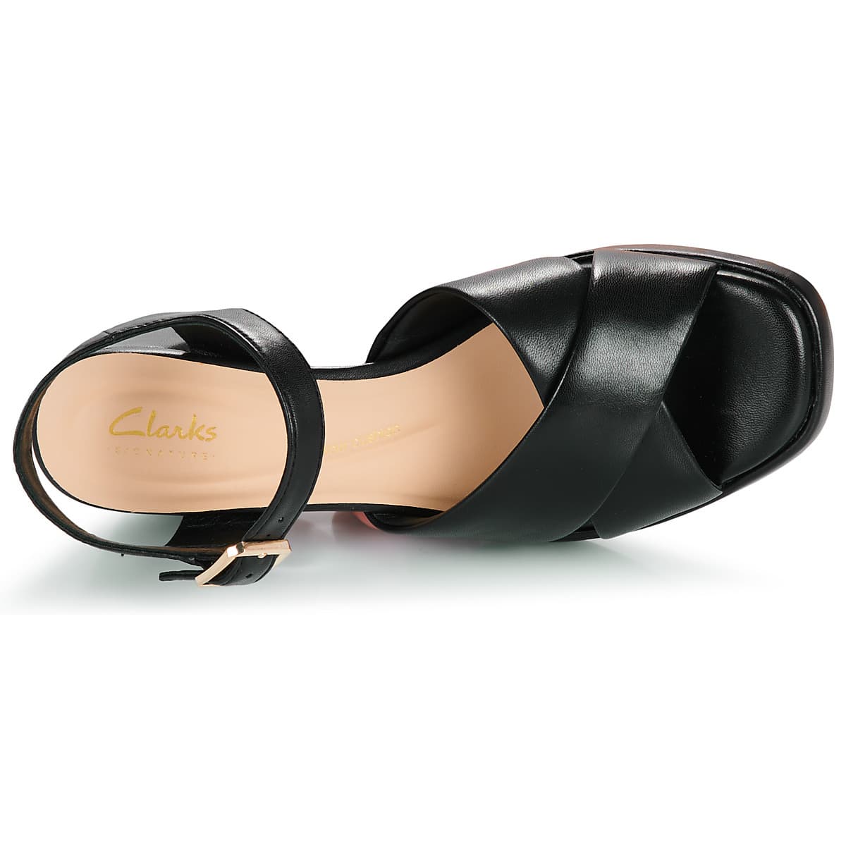 Women's Pumps Clarks Black
