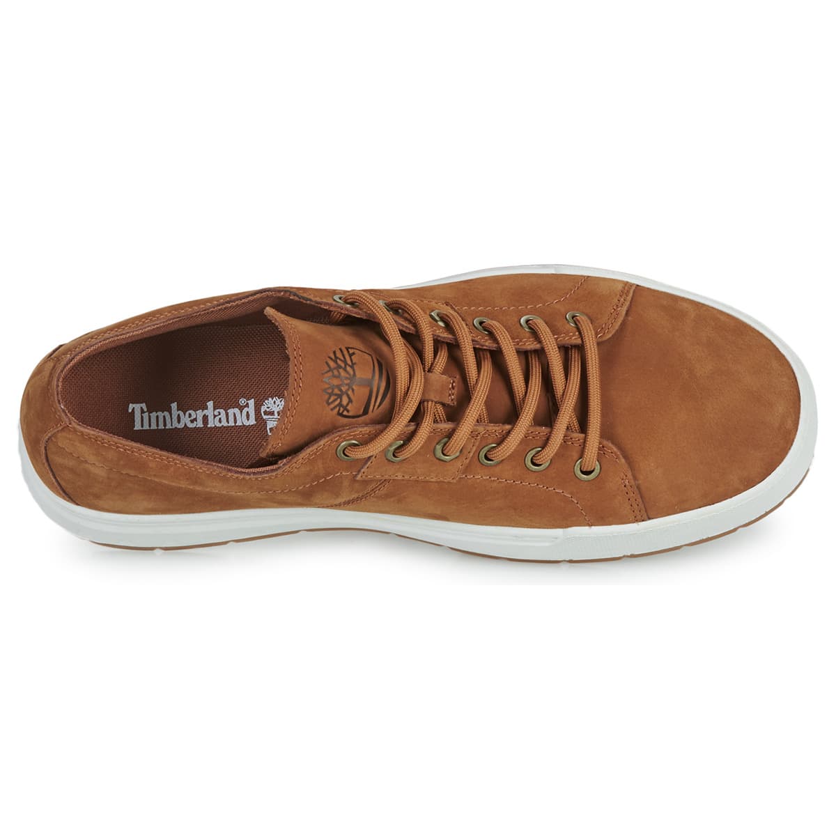 Men's Sneakers Timberland Brown