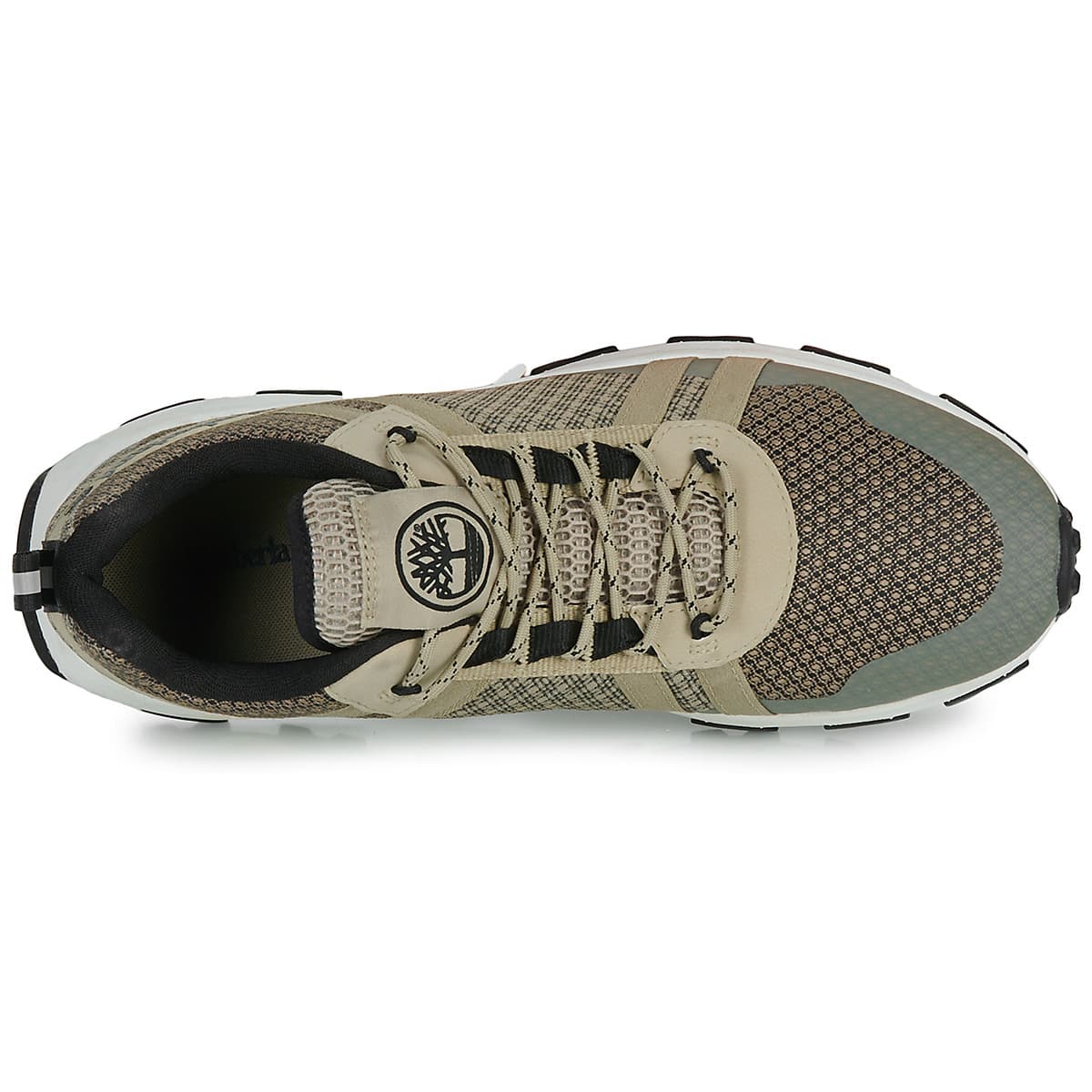 Men's Sneakers Timberland Multicolor