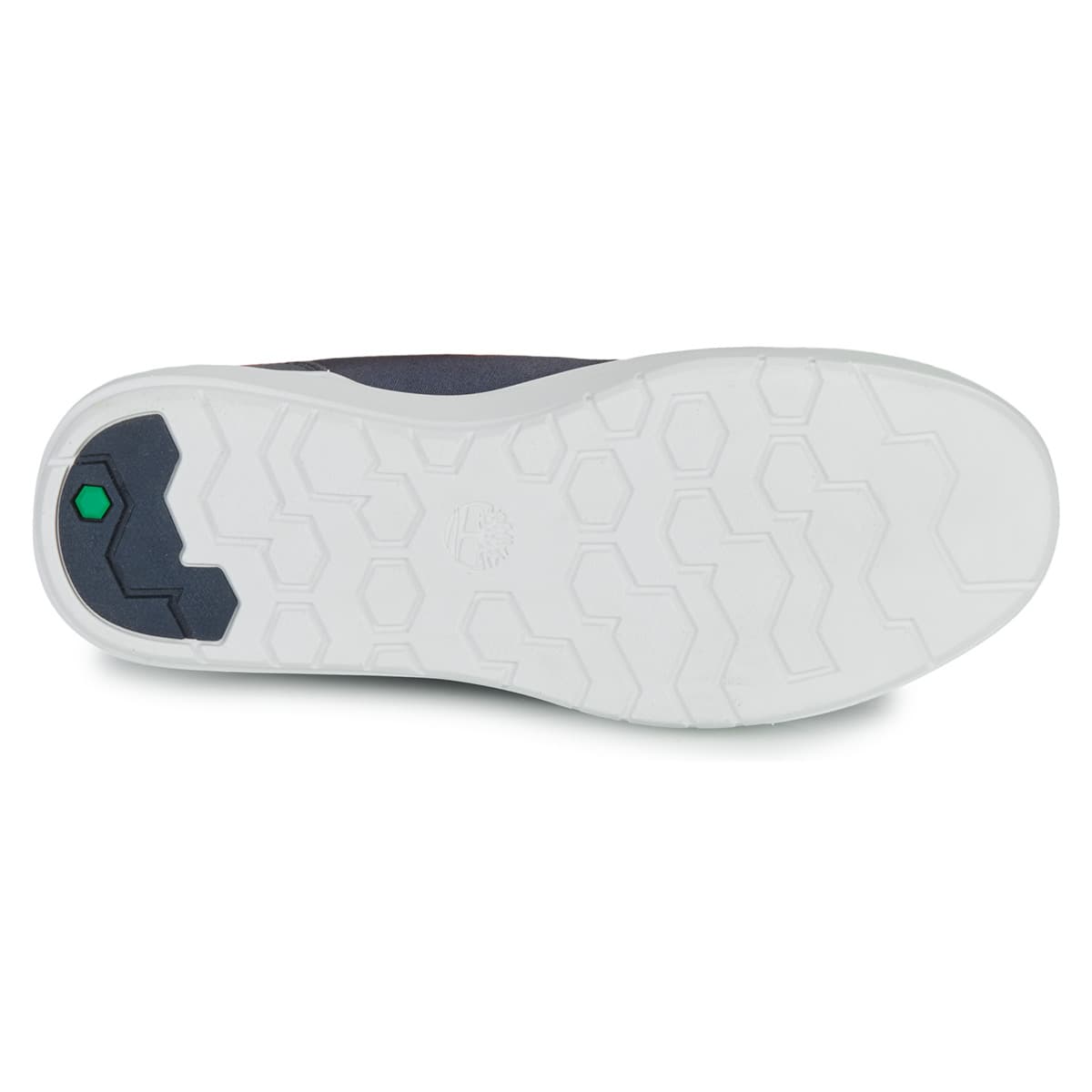 Men's Sneakers Timberland Blue