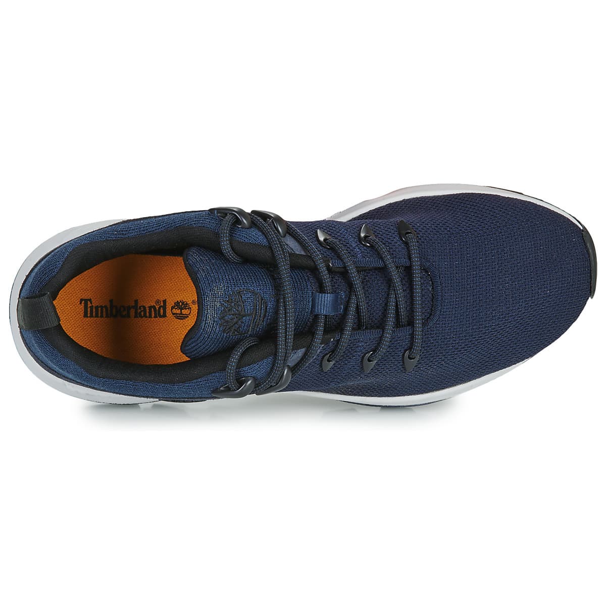 Men's Sneakers Timberland Blue