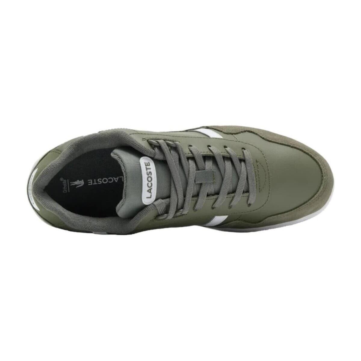 Men's Sneakers Lacoste Green