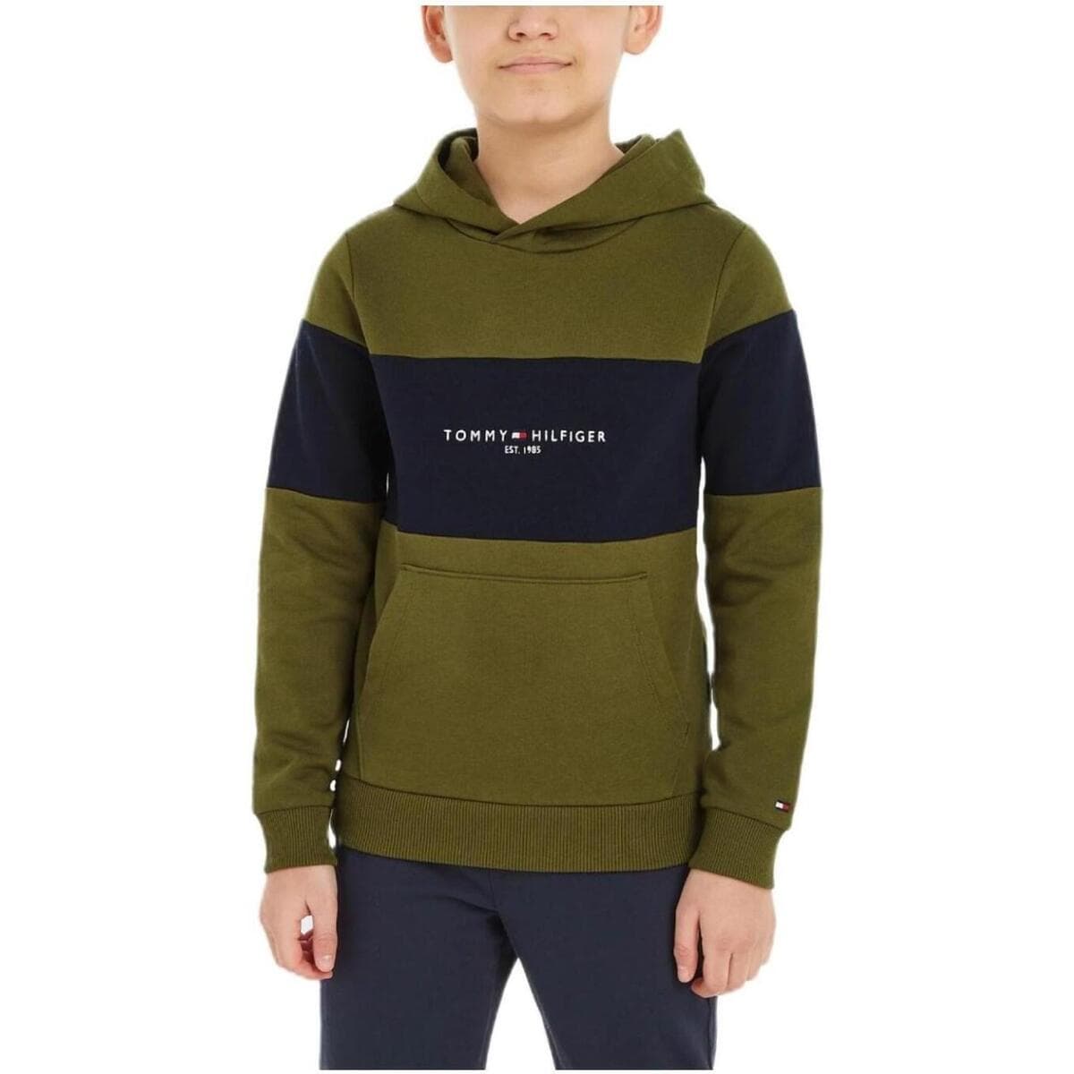 Boys' Hoodies & Sweatshirts Tommy Hilfiger Green