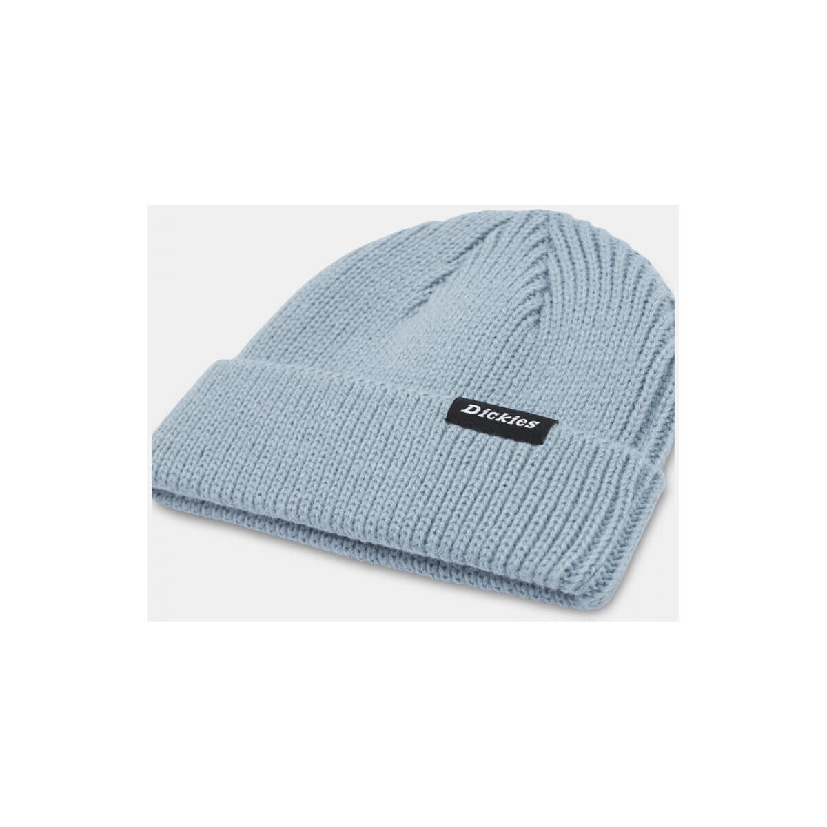 Men's Caps Dickies Blue