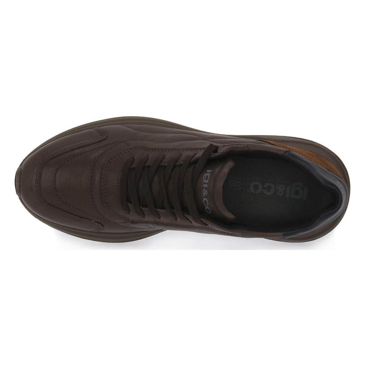 Men's Gym Shoes IgI&CO Gray