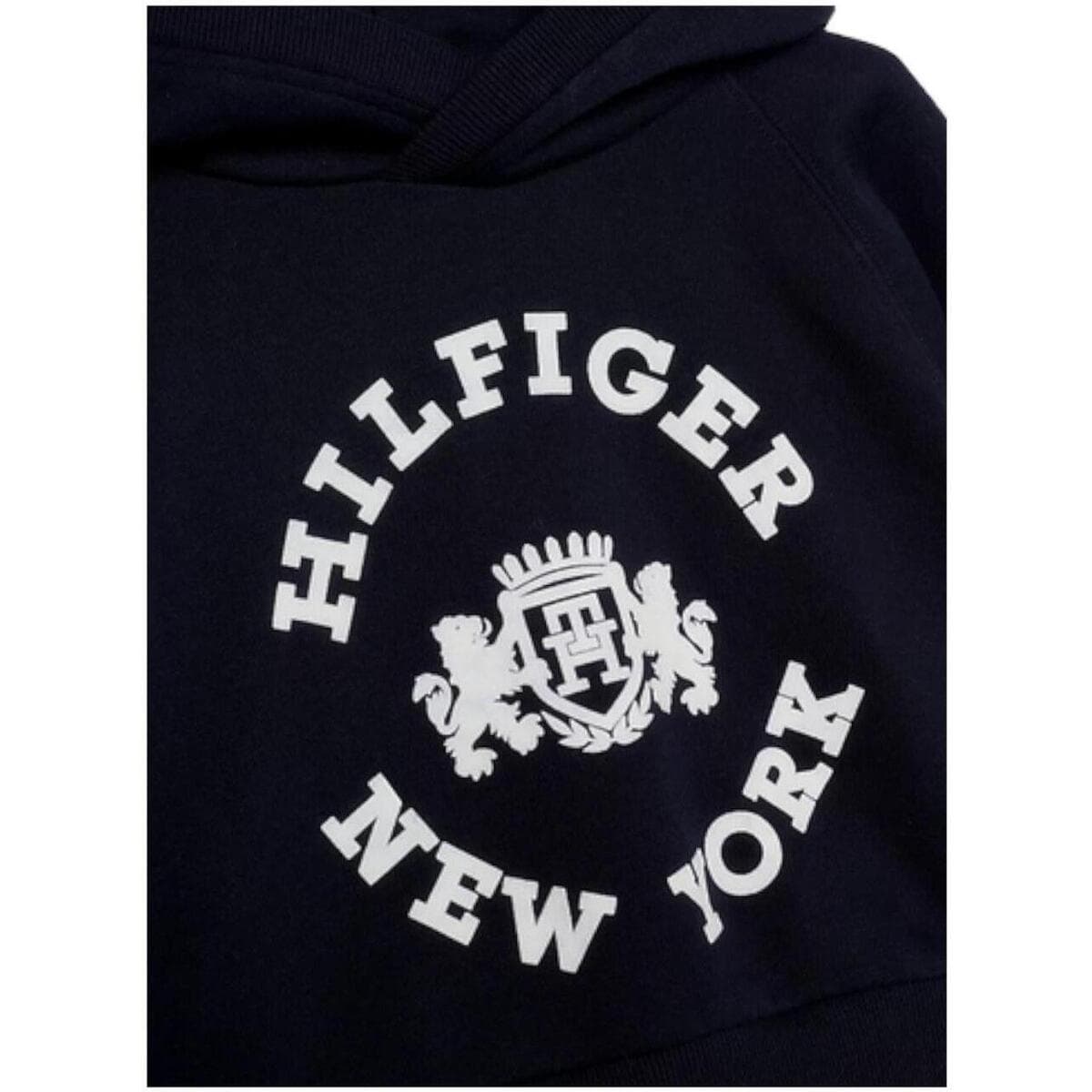 Girls' Hoodies & Sweatshirts Tommy Hilfiger Blue