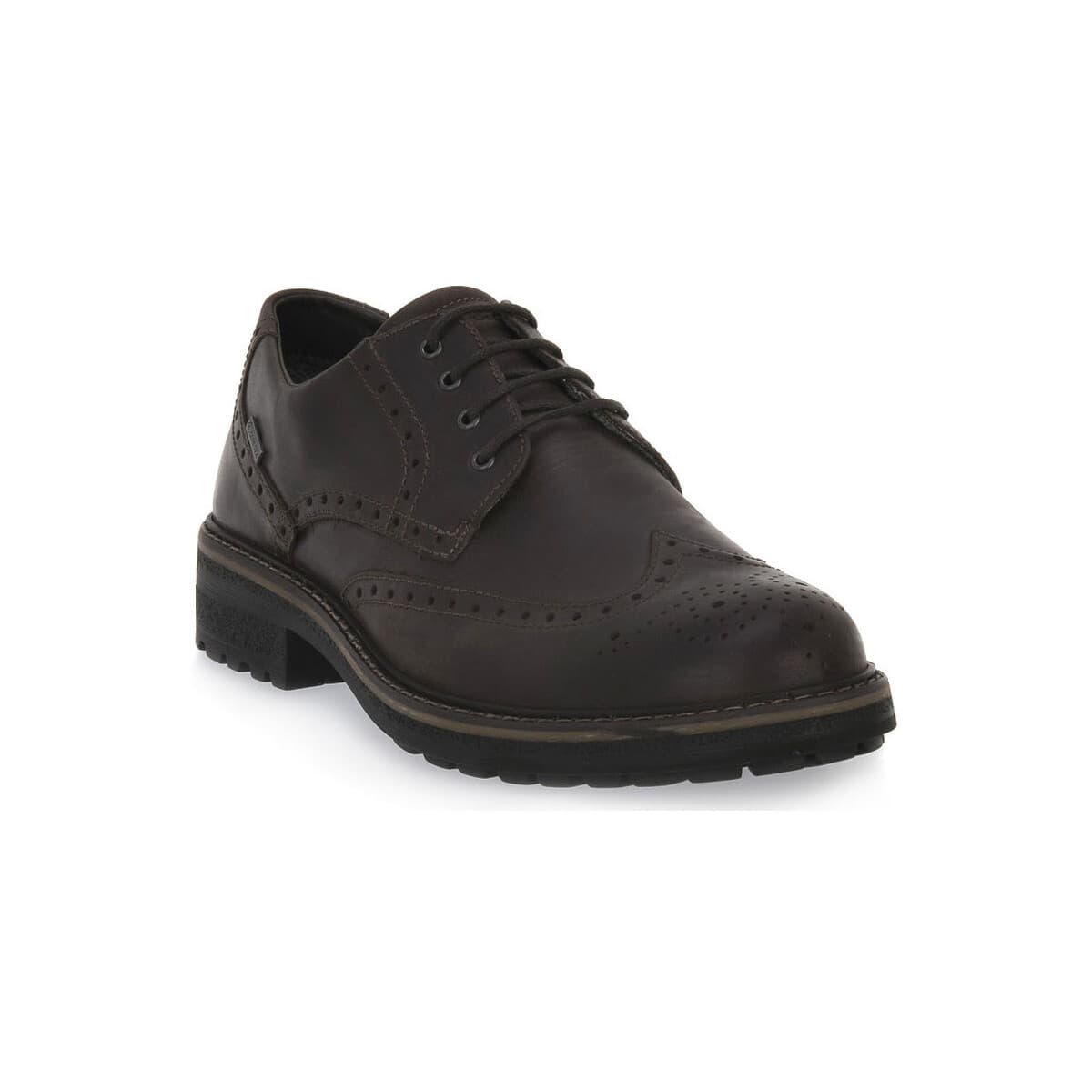 Men's Gym Shoes IgI&CO Brown