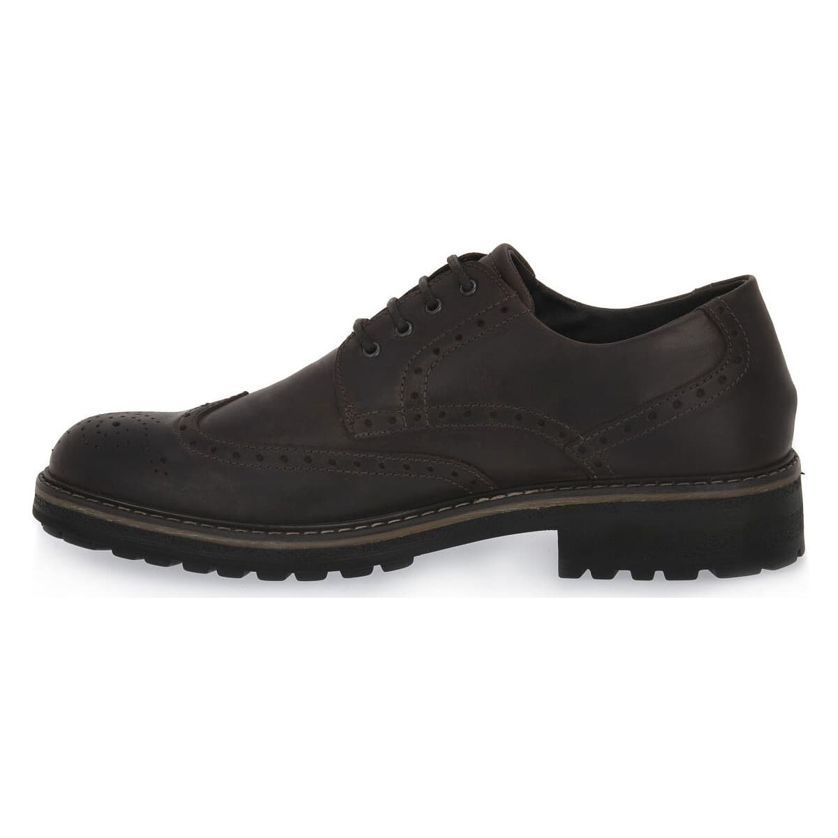 Men's Gym Shoes IgI&CO Brown