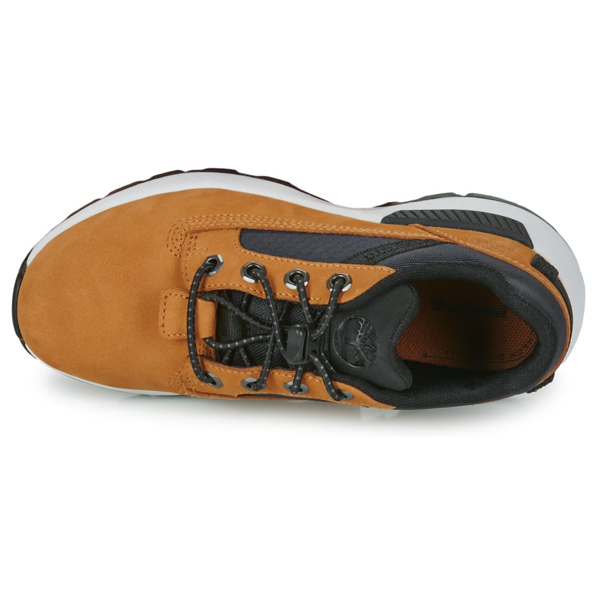 Boys' Sneakers Timberland Brown